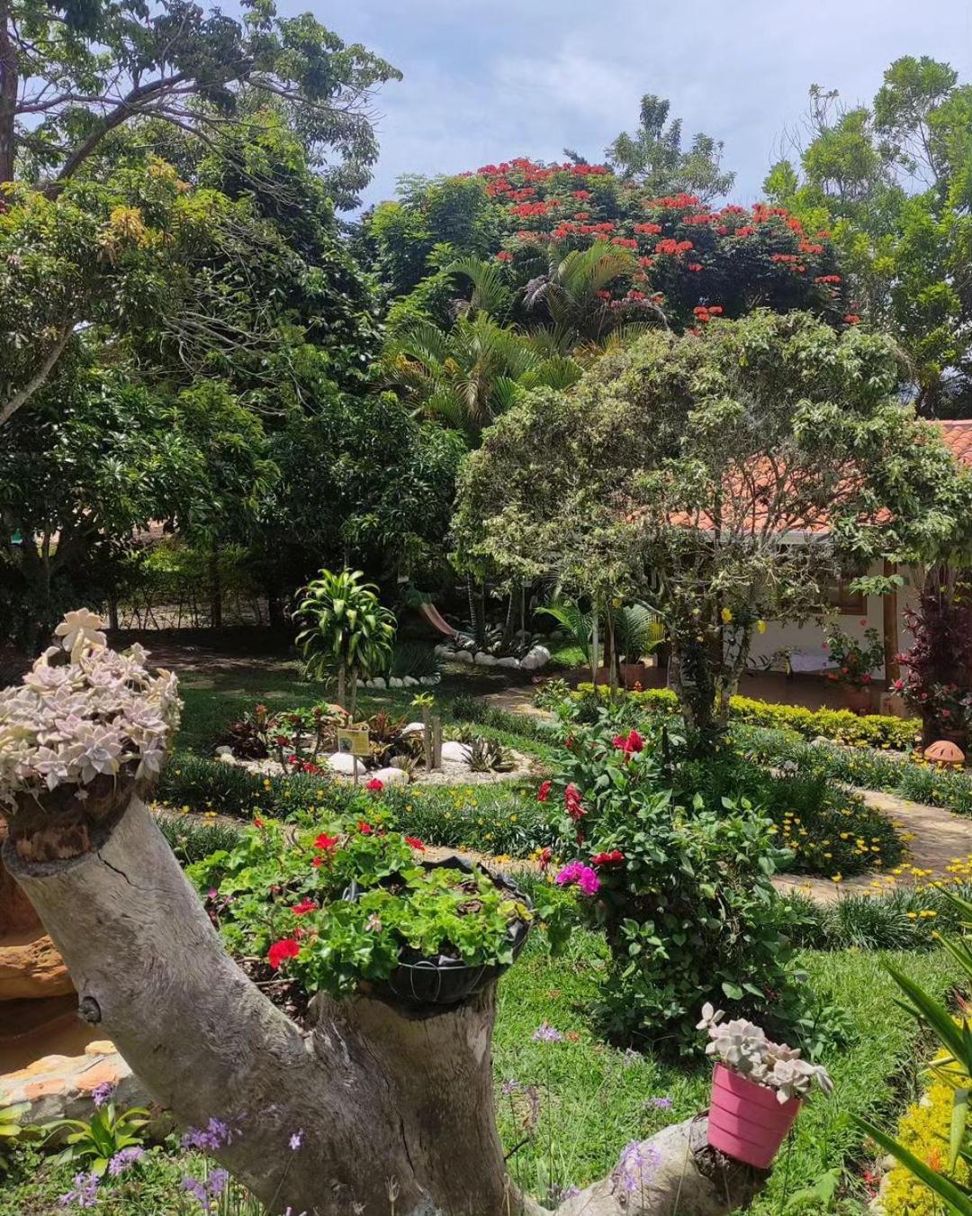 Hotel Boutique Santa Clara Mesa De Los Santos Los Santos  Eksteriør billede